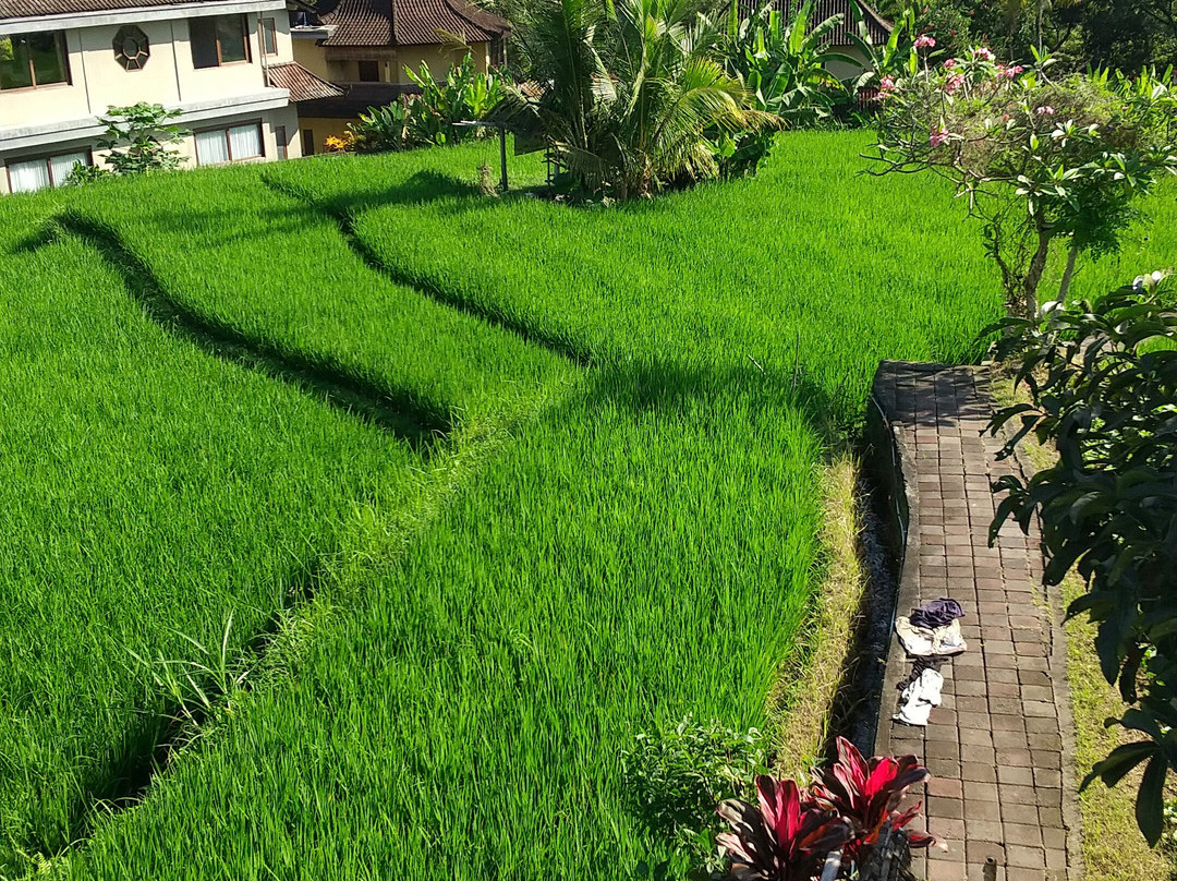 Embang Homestay主图