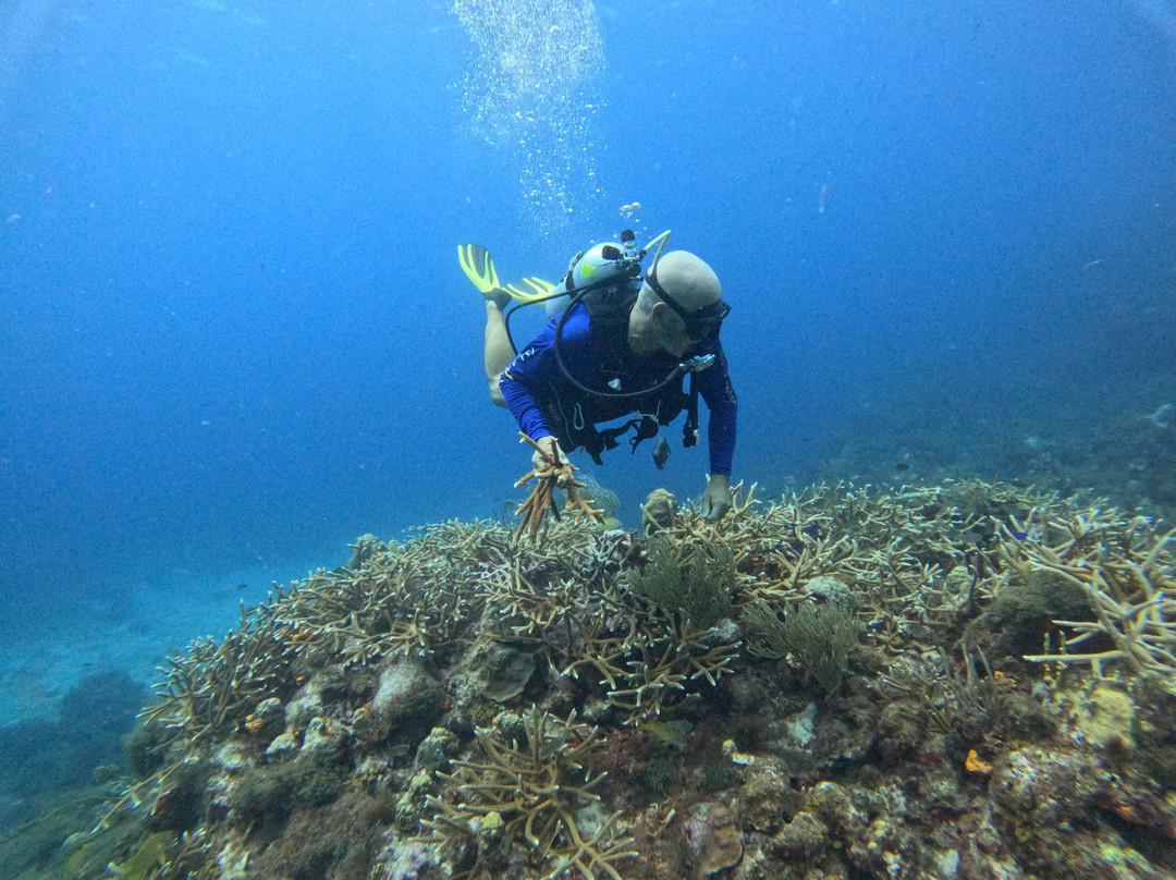 IslanDiving-居斯塔维亚必去景点