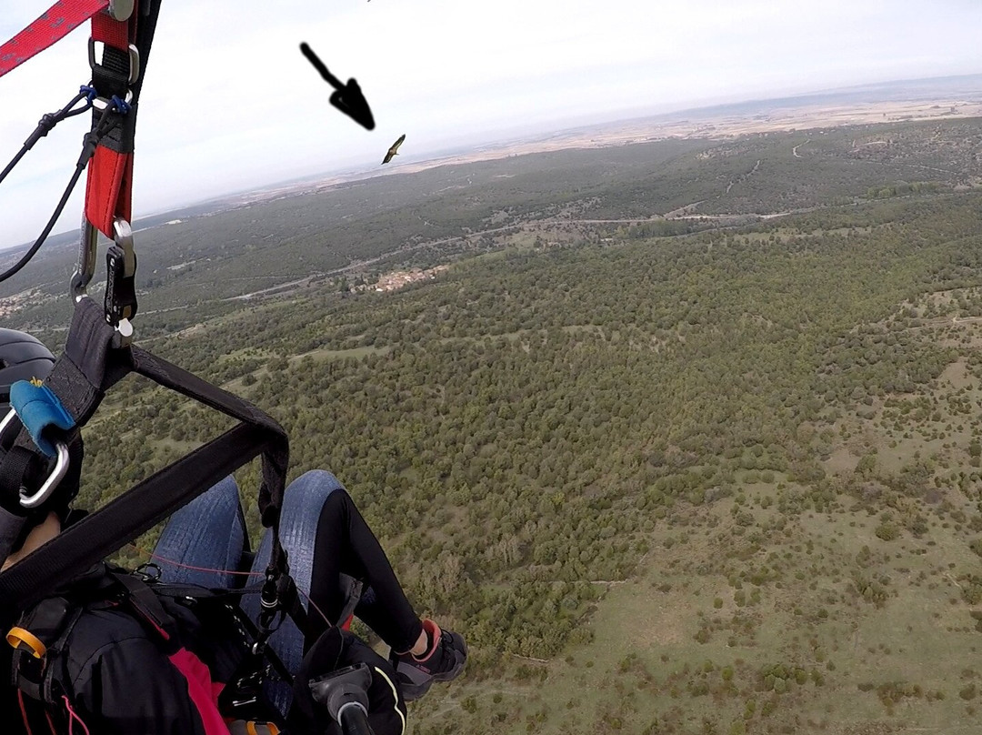 Denubeanube Paragliding景点图片