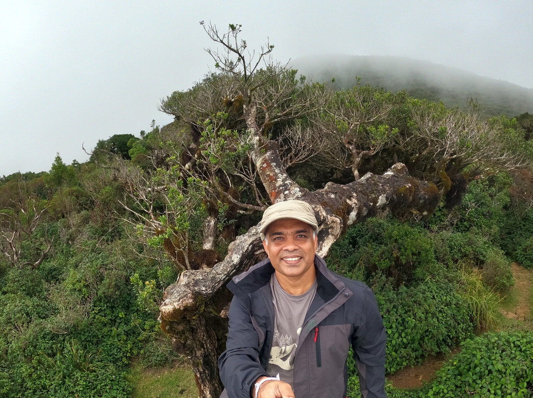 Thotupola Kanda Nature Trail-Ohiya必去景点