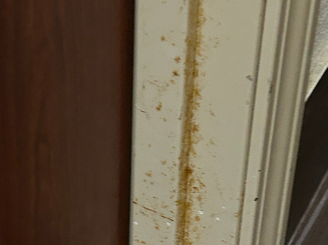 Comfort Suites Gainesville主图