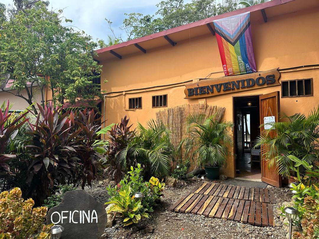 Fenix Hotel - On The Beach主图