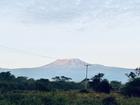 Big Cats Safari-那格浦尔必去景点