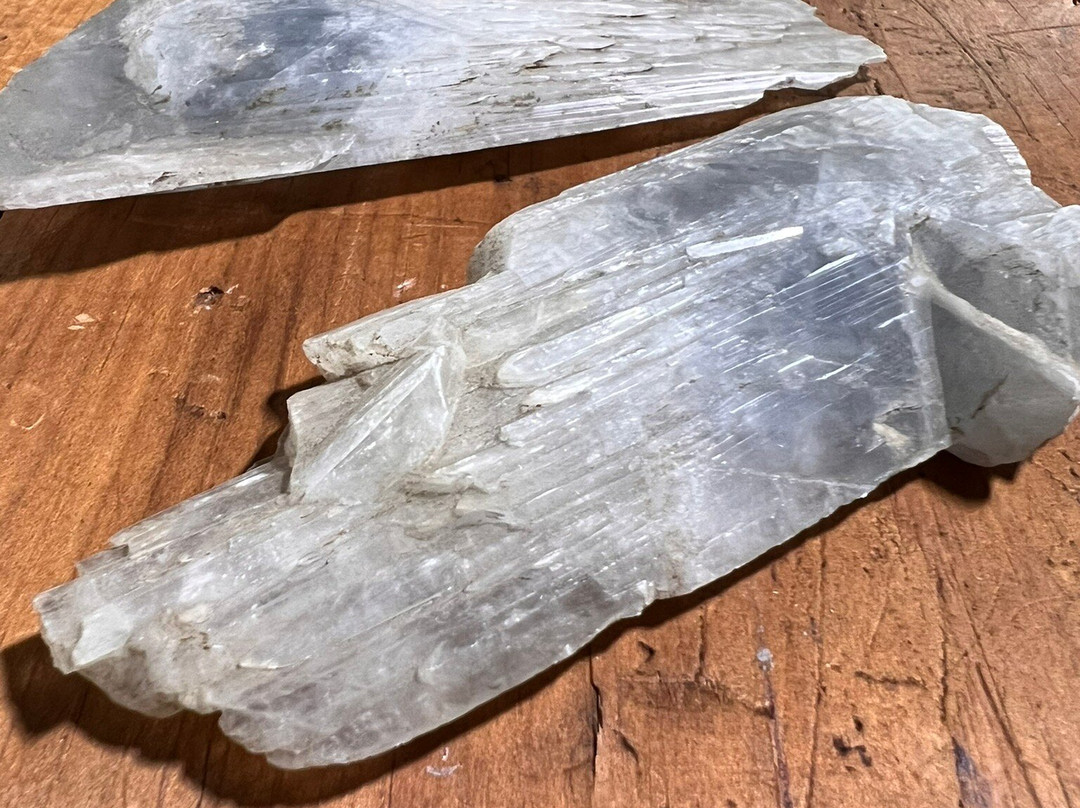 Missouri Institute of Natural Science-斯普林菲尔德必去景点