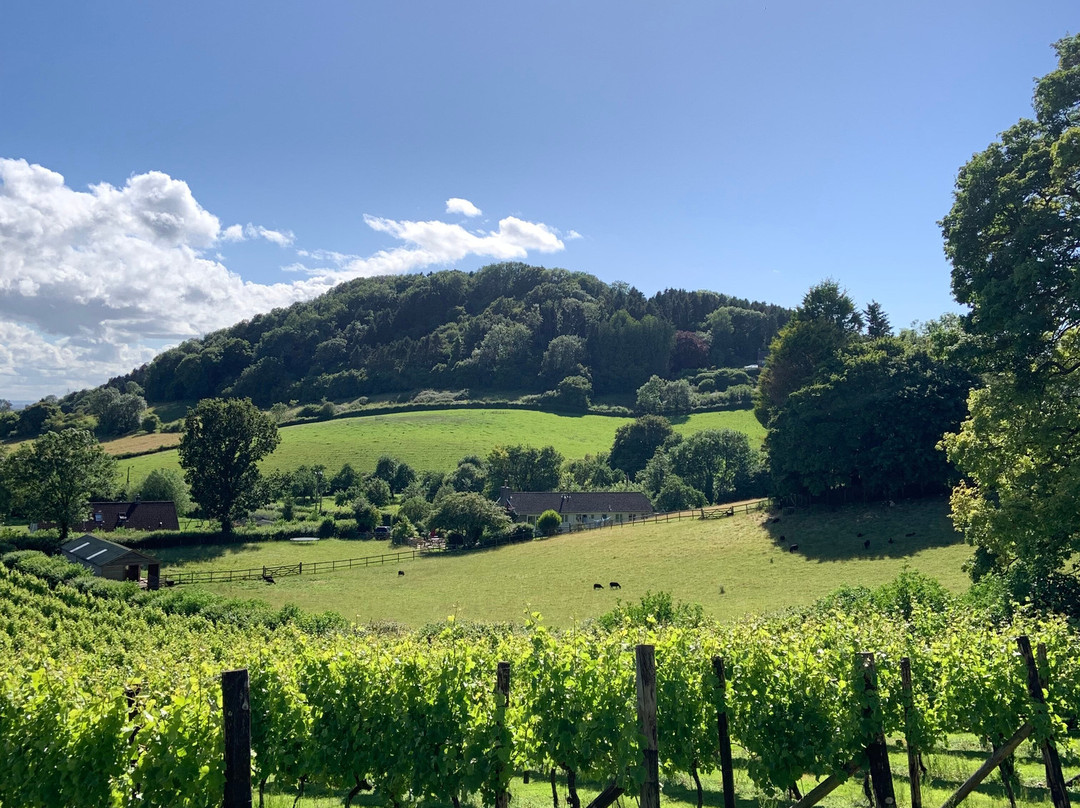 Fenny Castle Vineyard景点图片