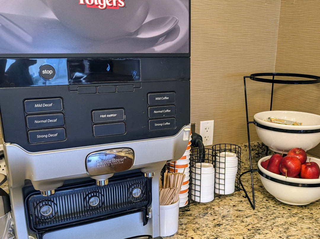 Comfort Inn Bathurst主图