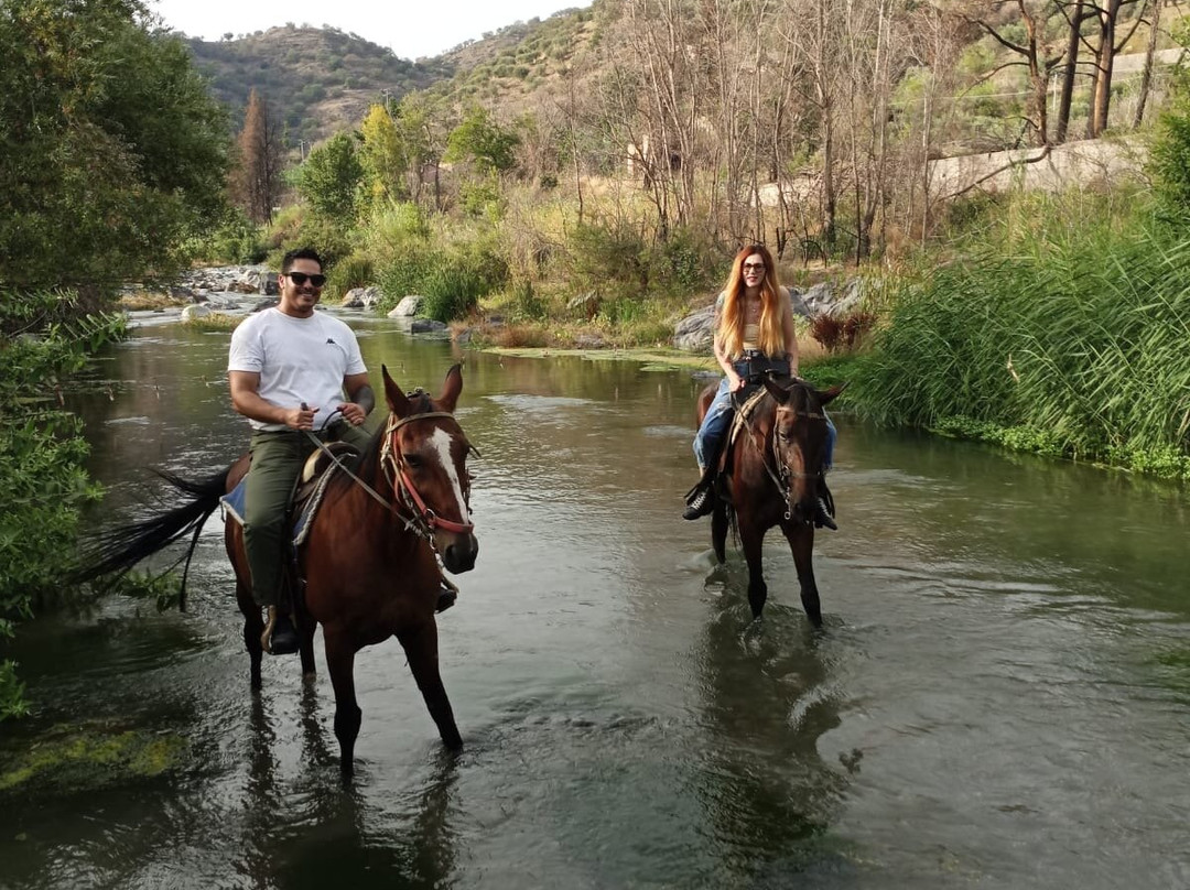 Sunshine Adventure Horses Power景点图片