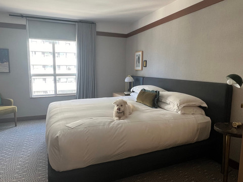 金普顿圣乔治酒店主图