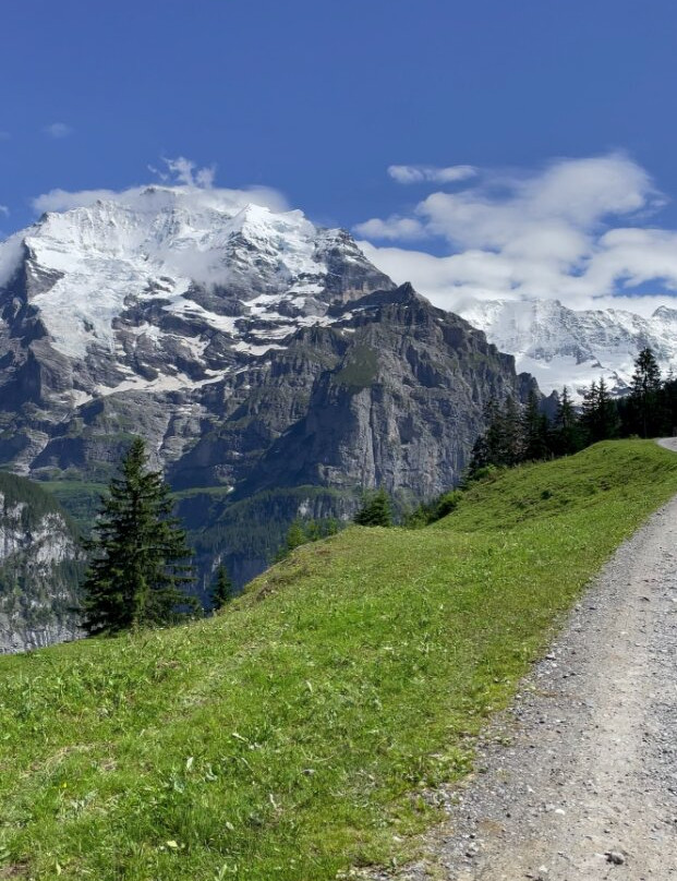 Mountain View Trail景点图片