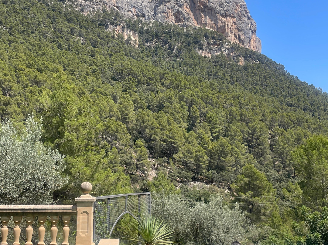 Hotel Rural S'Olivaret主图