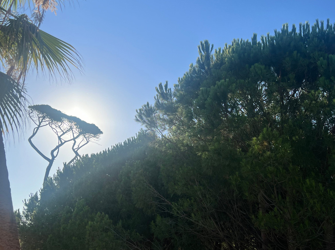 Belambra Club Riviera Beach Club主图