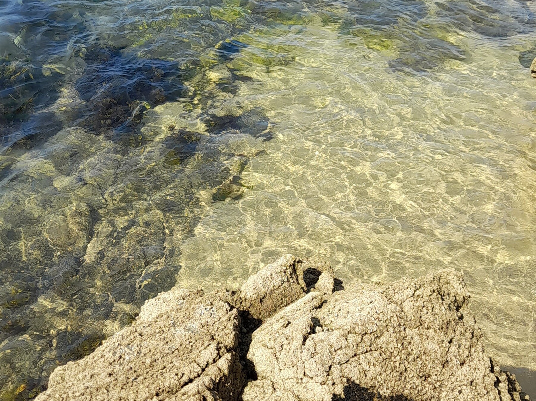 Plage de la Pissotte景点图片