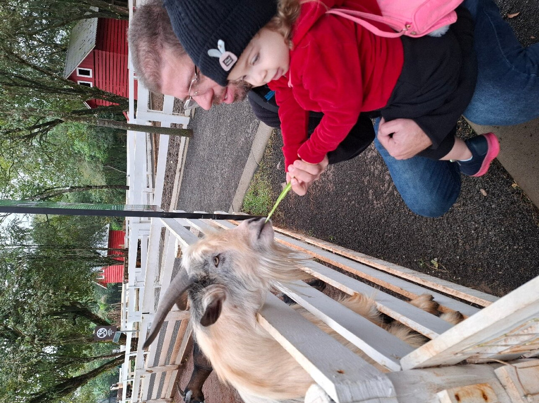 Foz Eco Park Zoo-伊瓜苏必去景点