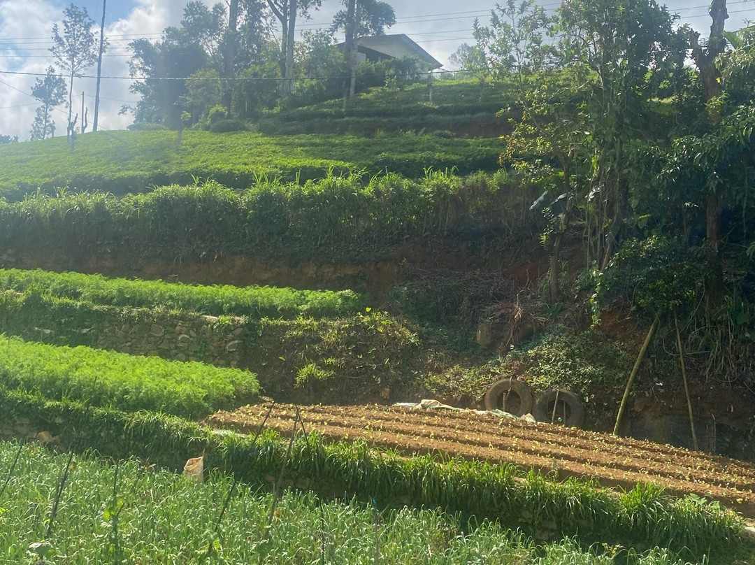 Your Private Driver Sri Lanka - YPDSL-科伦坡必去景点