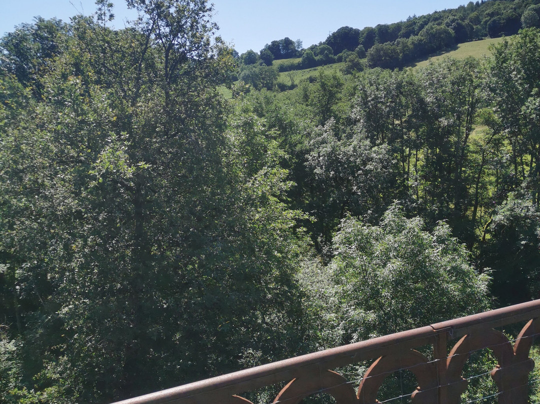 Velorail les draisines du pays de Mauriac-Drugeac必去景点
