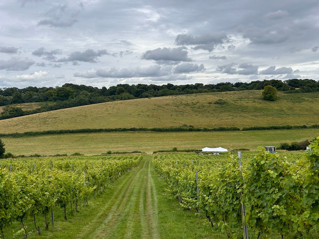 Meopham Valley Vineyard景点图片