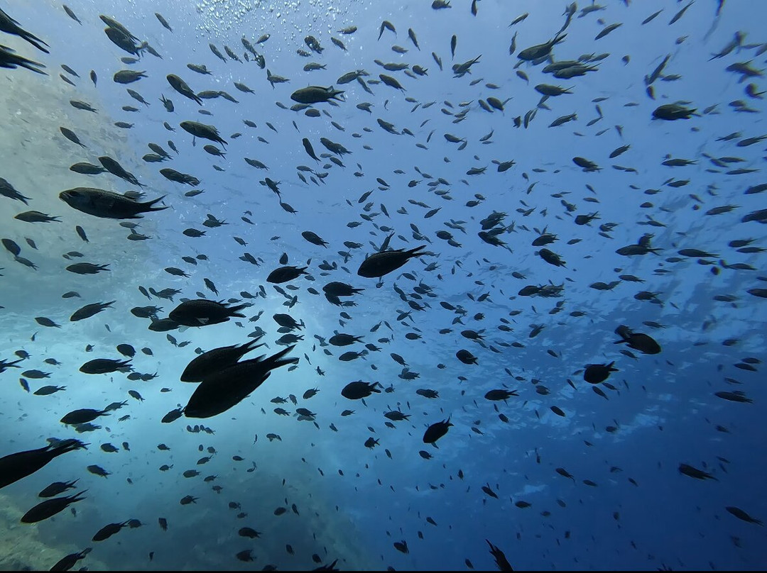 Aqualonde Plongée-La Londe Les Maures必去景点