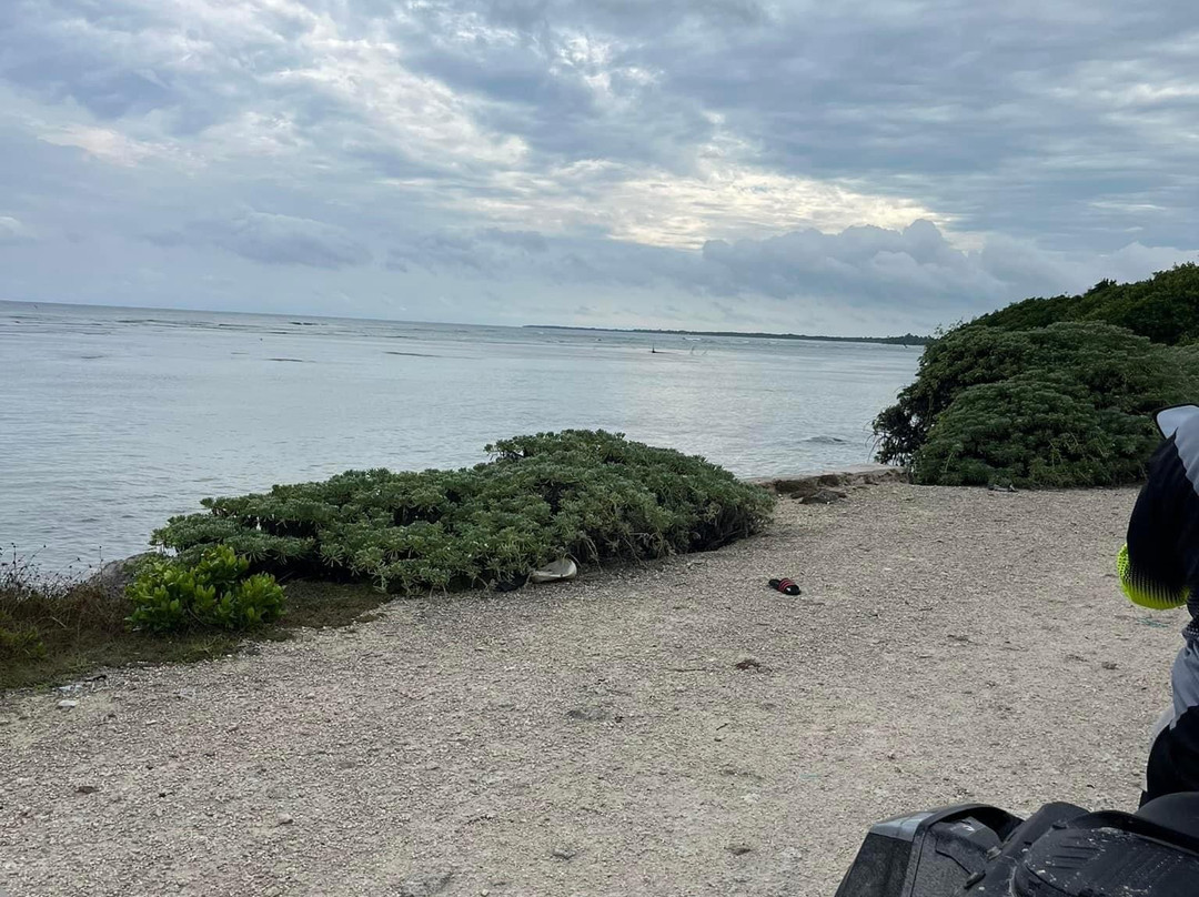 Riviera Moto Adventures-普拉亚德尔卡曼必去景点