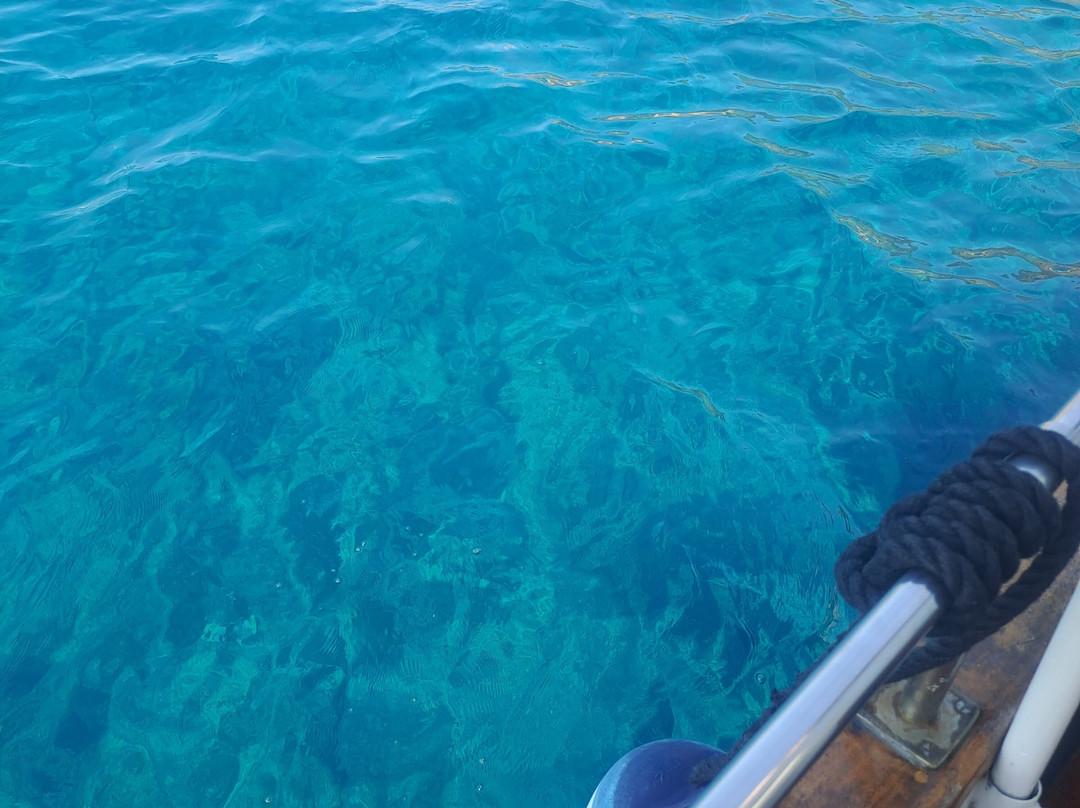 Il Dollaro II-Porto Azzurro必去景点