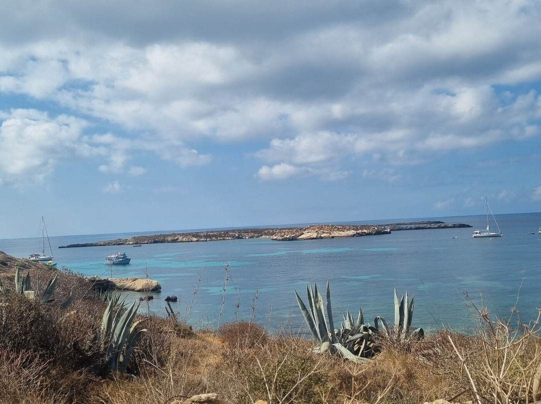 Cala Preveto景点图片