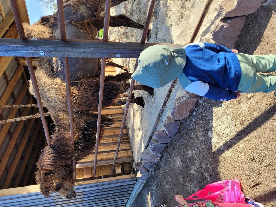 Wildpark Frankenhof-Reken必去景点