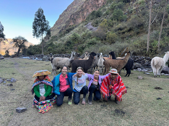 Llama Pack - Day Tours-乌鲁班巴必去景点