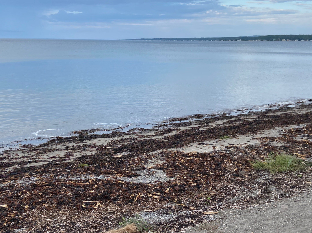 Plage de l'Anse-aux-Coques-Sainte-Luce-sur-Mer必去景点