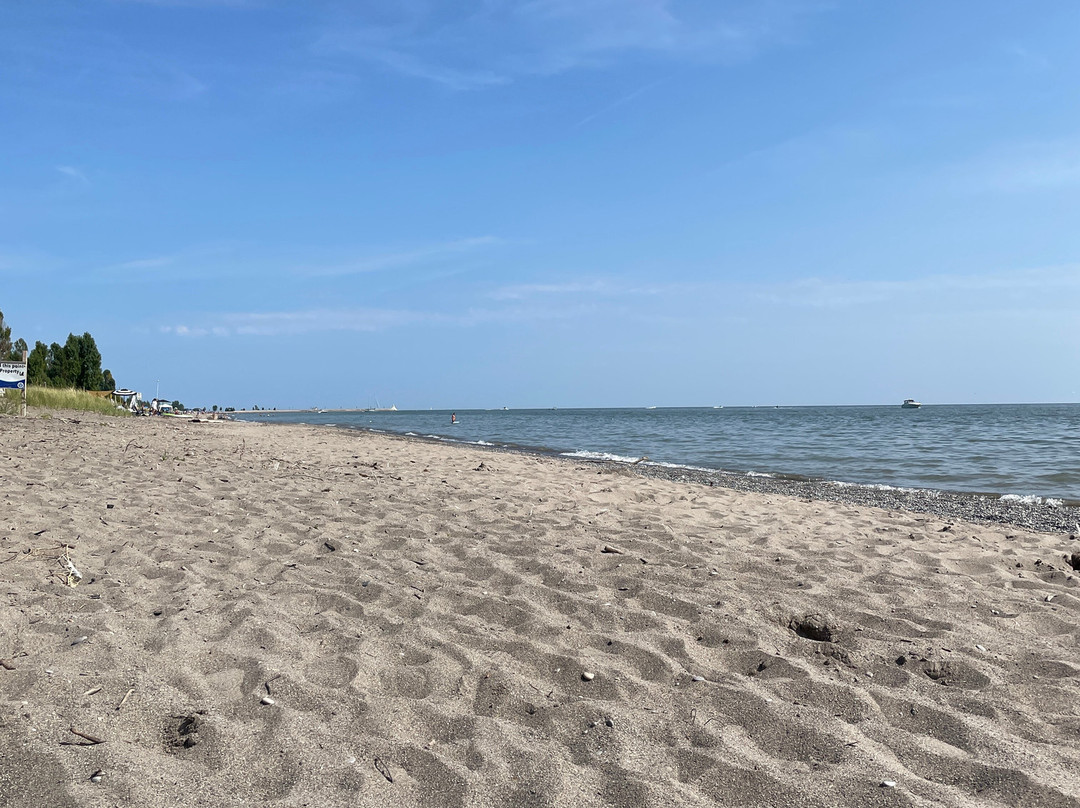 Port Stanley Main Beach景点图片