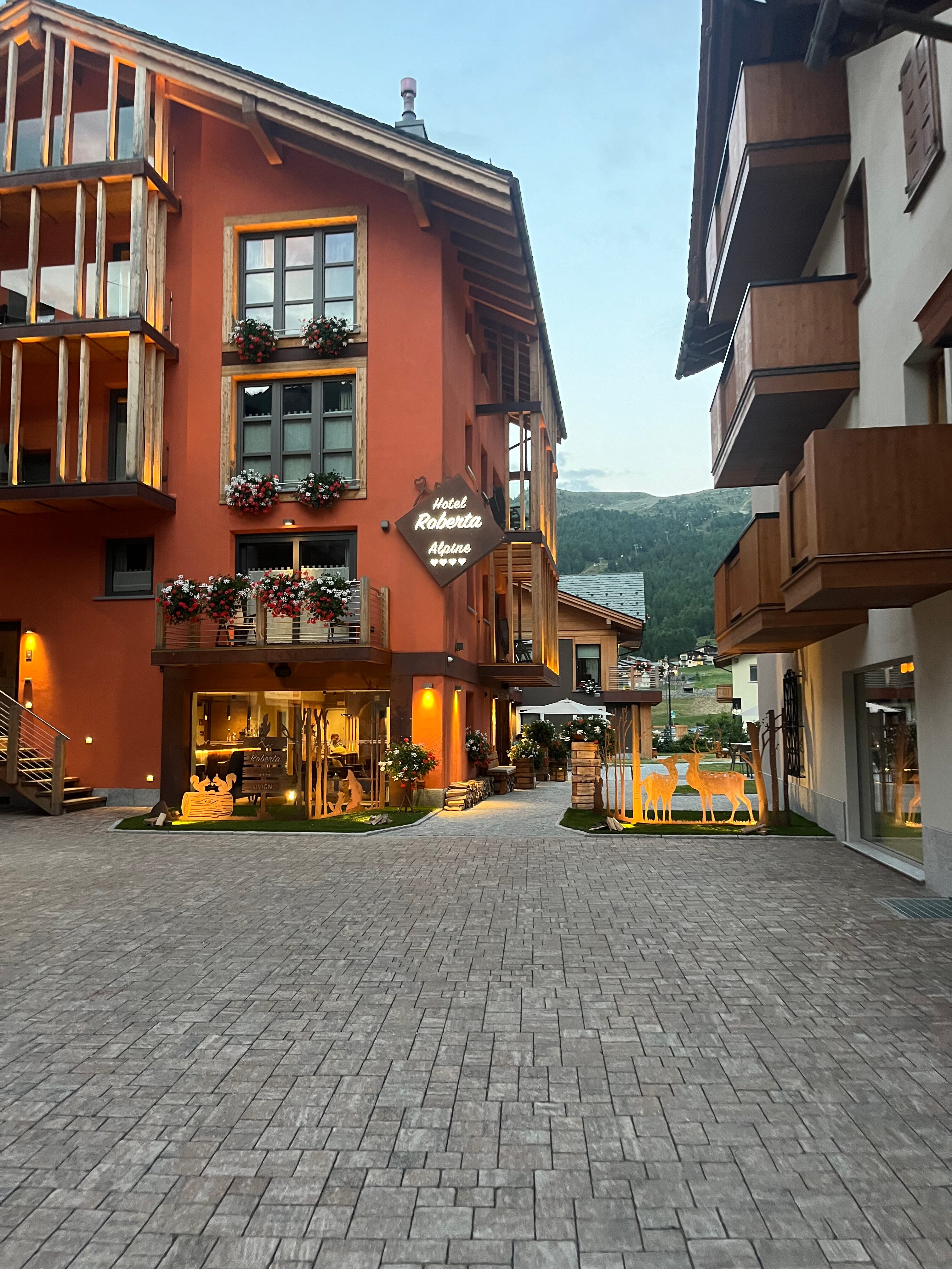 Hotel Roberta Alpine-浴室