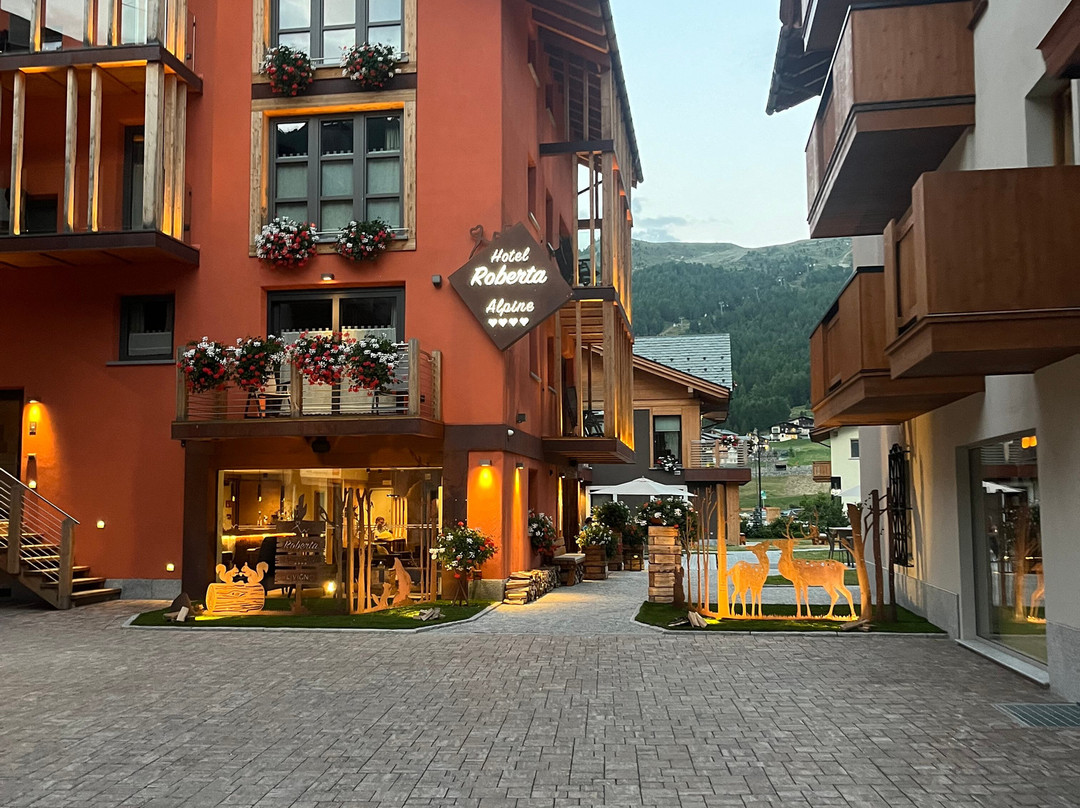 Hotel Roberta Alpine主图