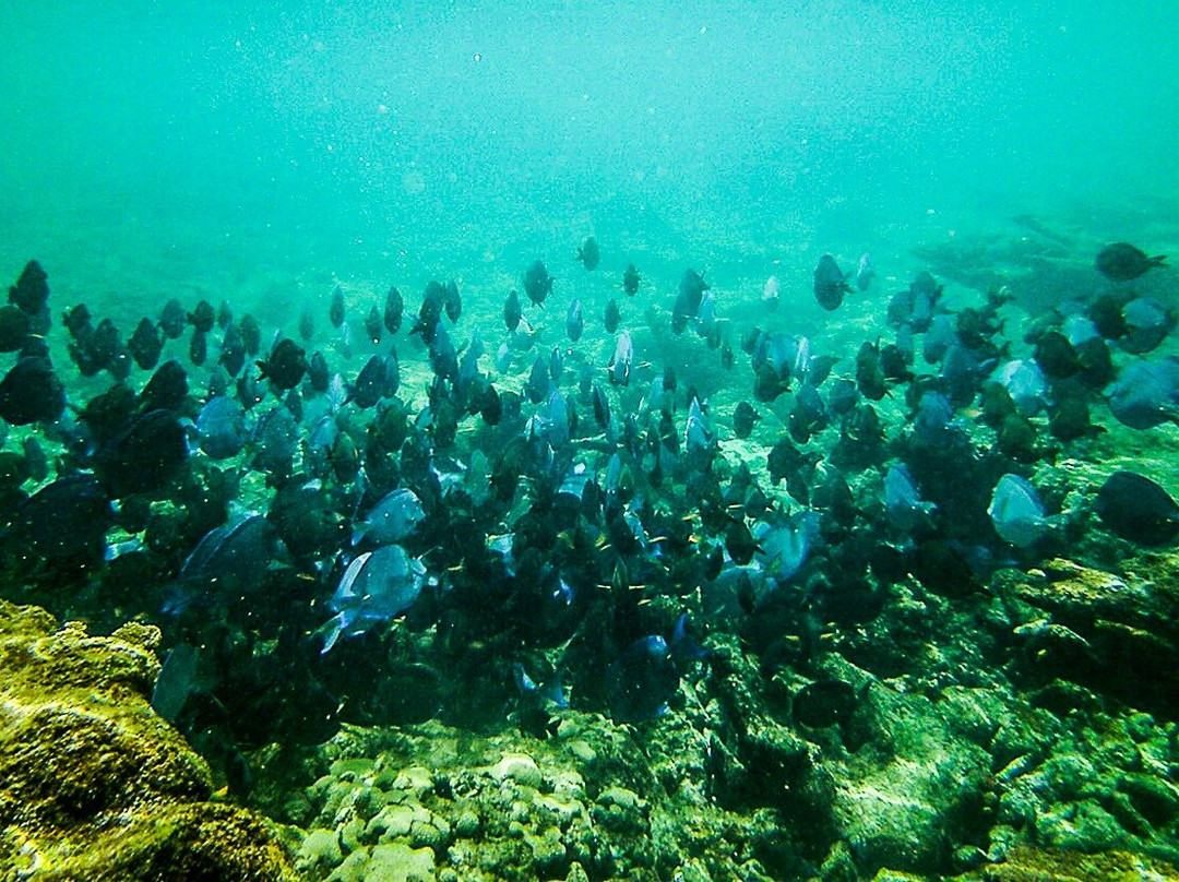 Steps Beach-吕康必去景点