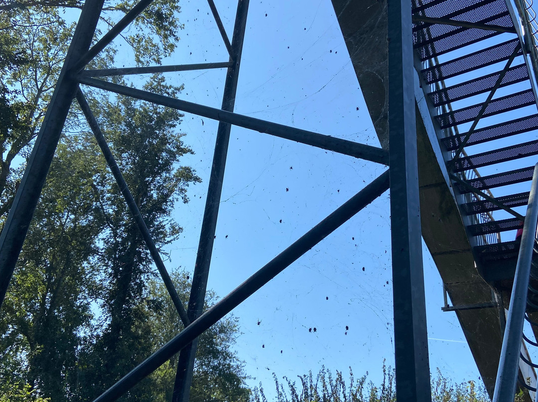 sybrandy's Speelpark景点图片