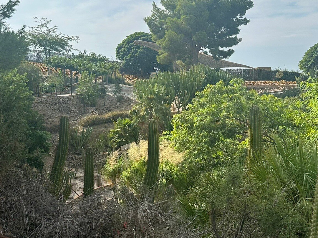DinoPark Algar景点图片