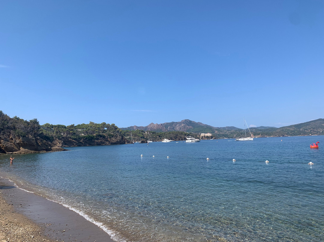 Tenuta Delle Ripalte主图