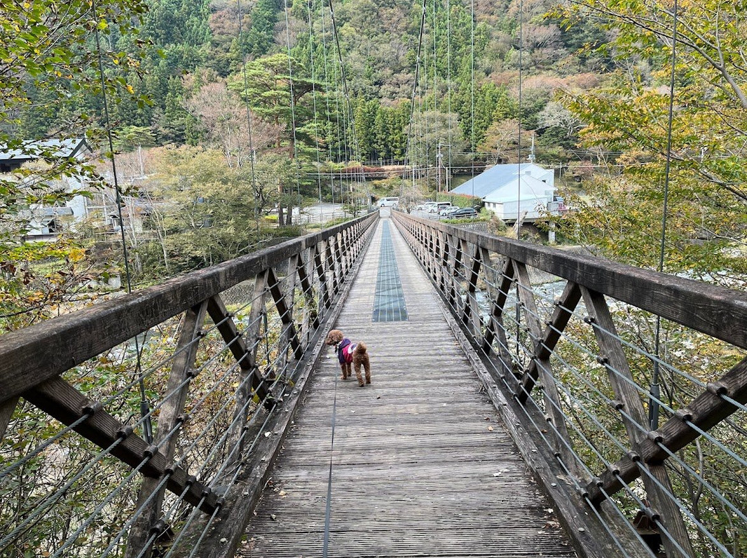 Nanatsuiwa Suspension Bridge-那须盐原市必去景点