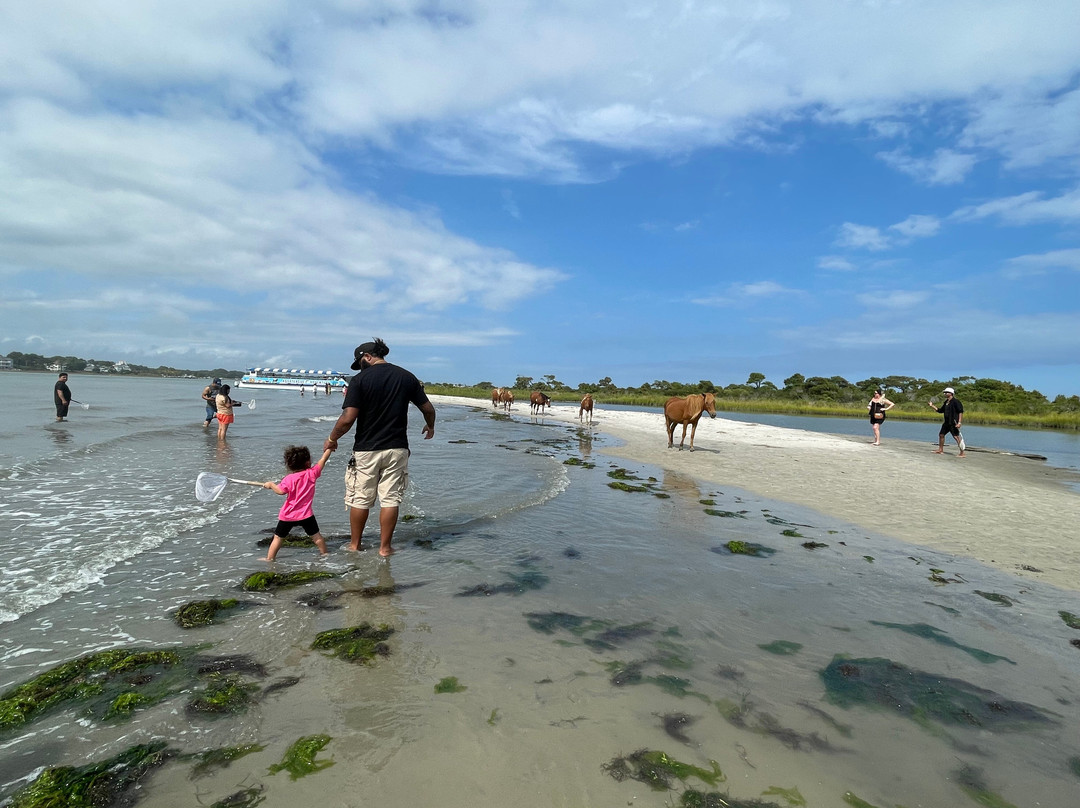 Assateague Adventure-大洋城必去景点