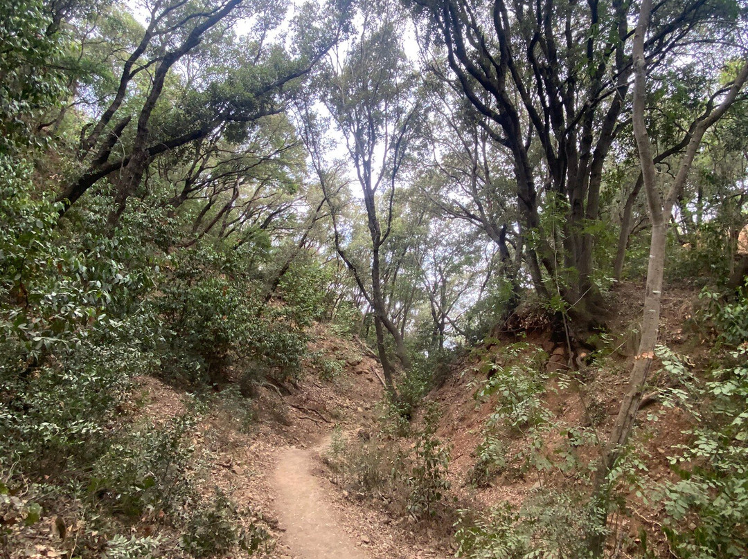 Cala Grande景点图片