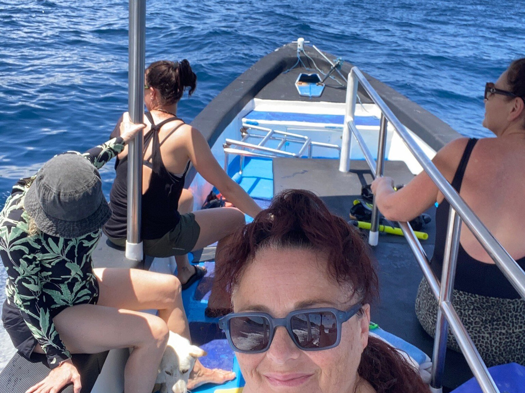 Ceningan Paradise Adventures-努沙切宁安岛必去景点