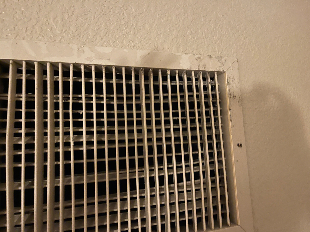 奥兰多市区希尔顿双树酒店主图