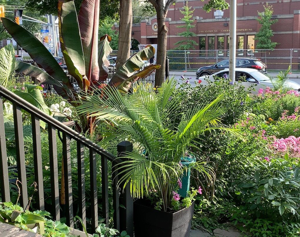 Auberge The King Edward Bed and Breakfast主图