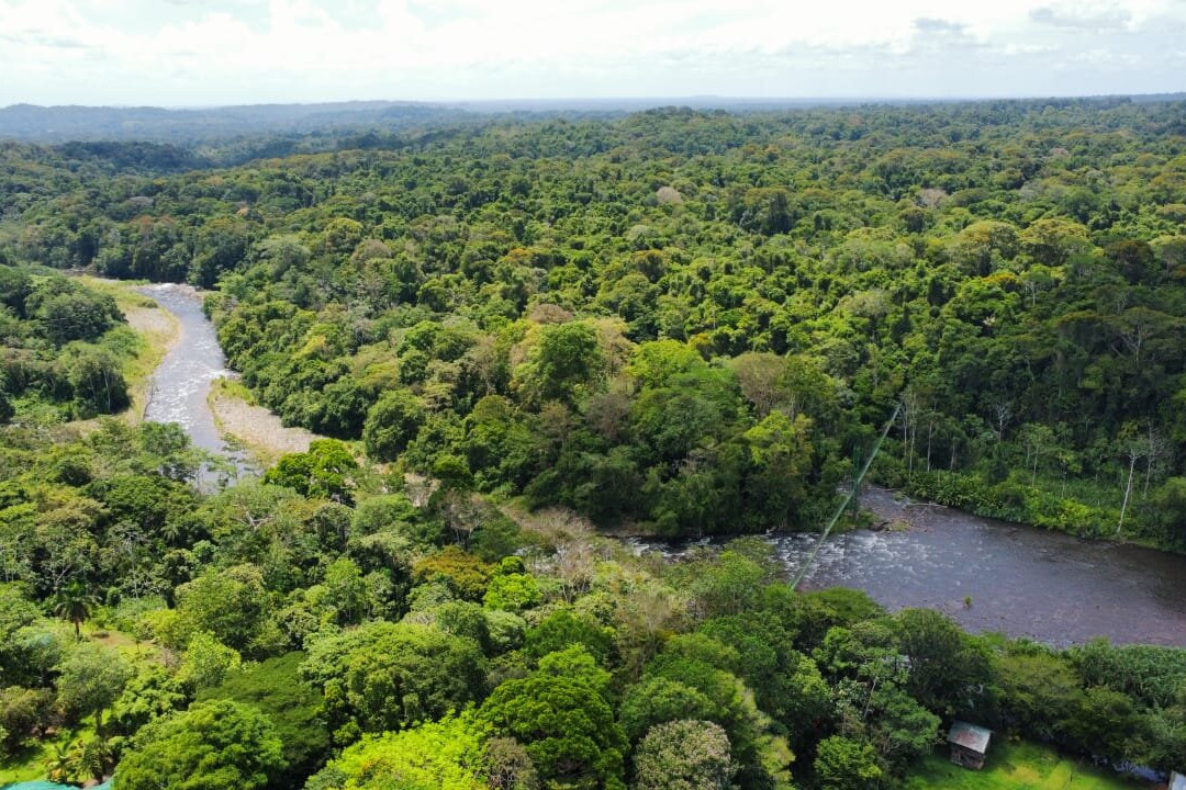 Tirimbina Rainforest Lodge主图