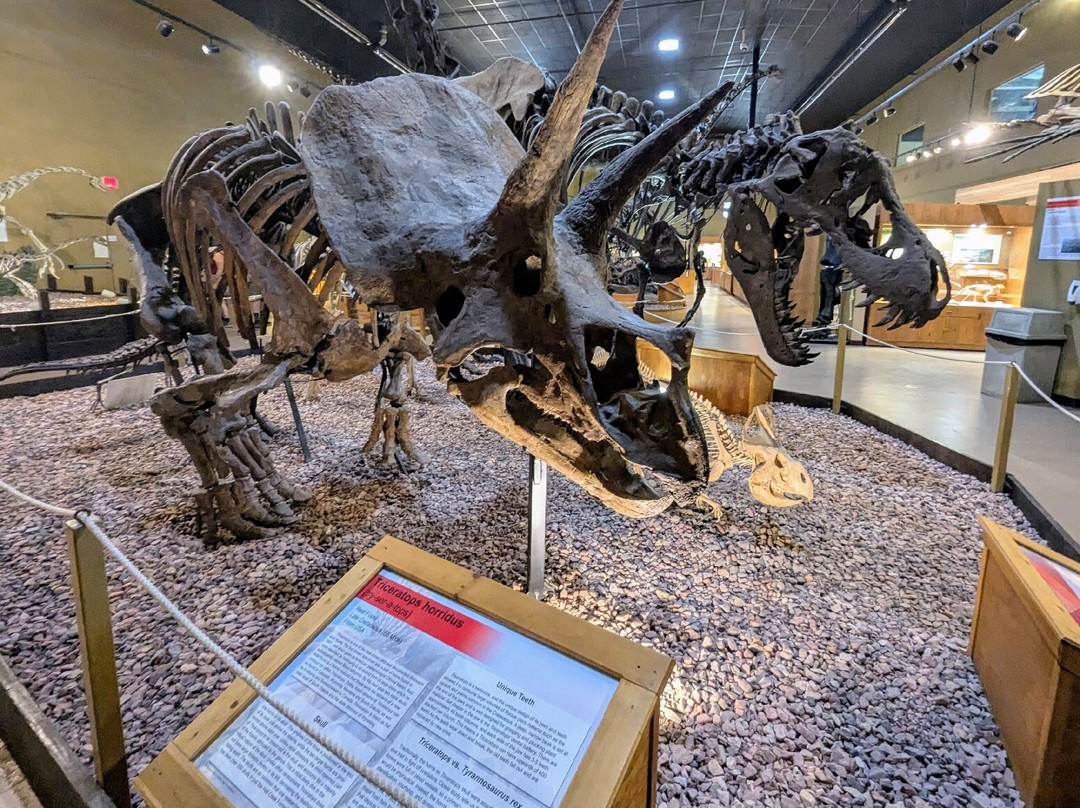 Wyoming Dinosaur Center-瑟莫波利斯必去景点