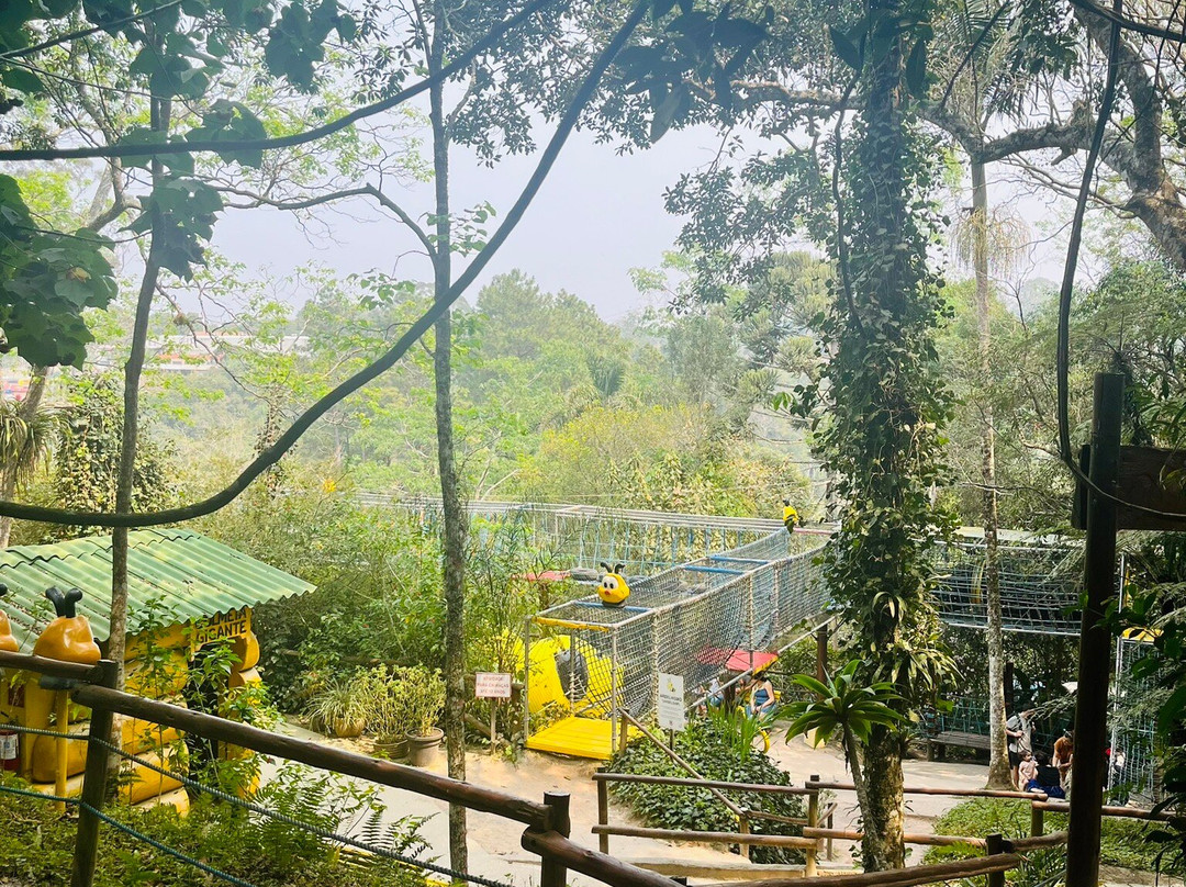 Cidade das Abelhas-Cotia必去景点
