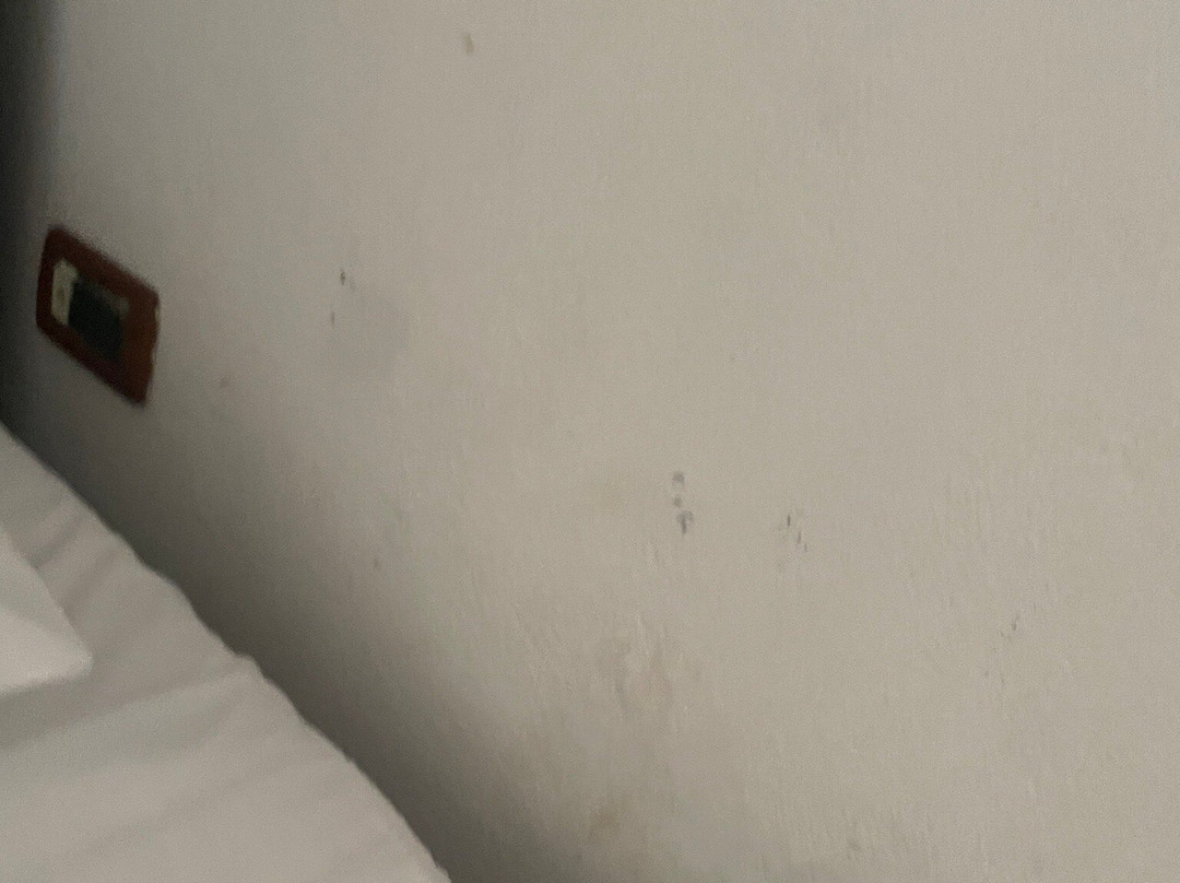 Misk Resort & Hotel主图