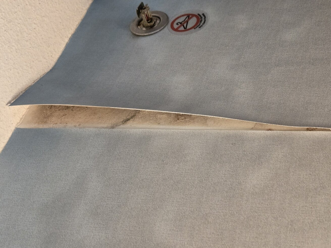 塔斯卡卢萨万怡酒店主图