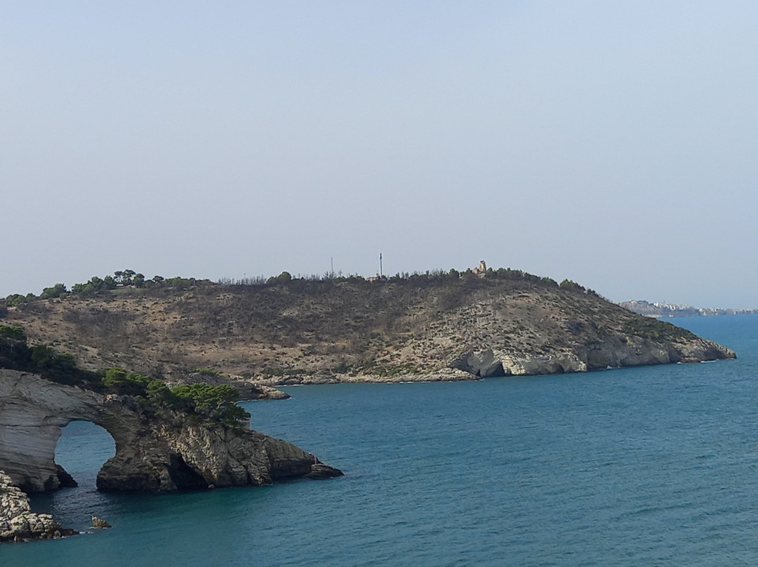 B&b Il Giardino Stellato Di Michela主图