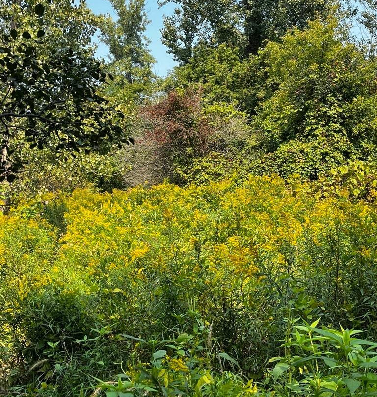 Rouge National Urban Park-多伦多必去景点