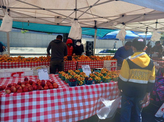 农夫市场-旧金山必去景点