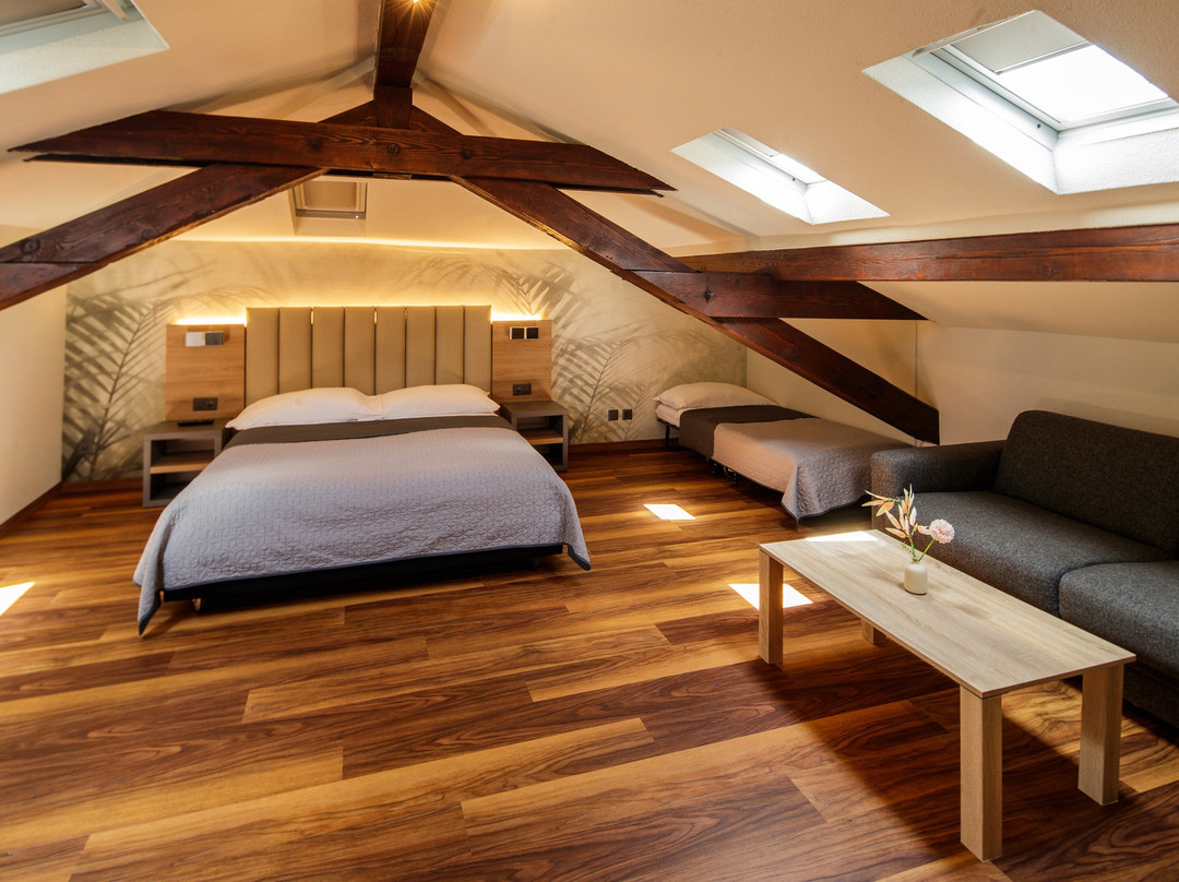 Albergo Mirador Ascona主图