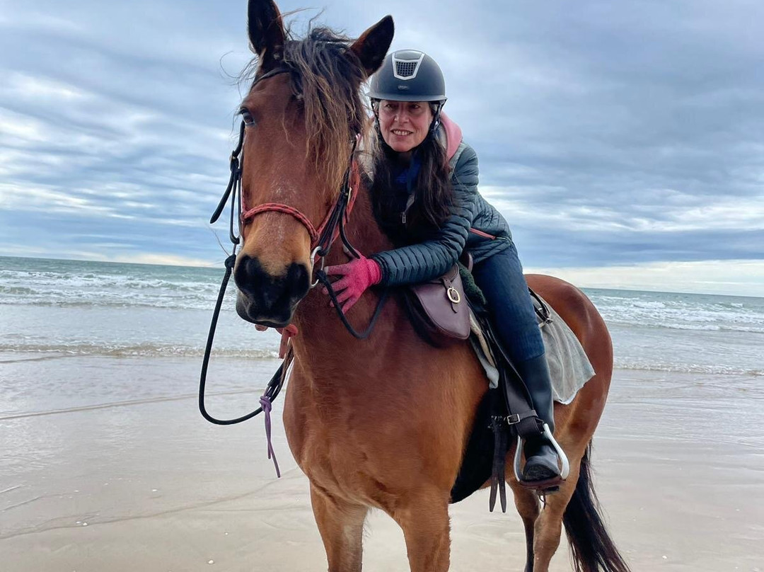 Cradle Country Adventures-摇篮山圣克莱尔湖国家公园必去景点